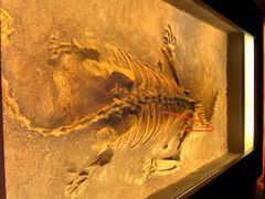 -世界恐龙谷景区