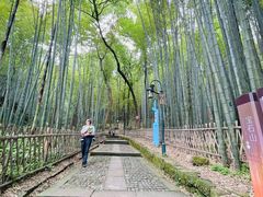 -杭州黄龙洞