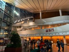 -合肥大剧院