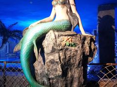 -邯郸海洋世界