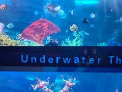 -泉城欧乐堡海洋极地世界