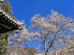 -潭柘寺景区