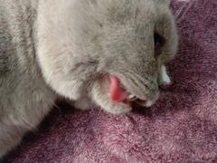 -北京恒爱动物医院(清景园分院)