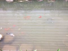 -活水公园