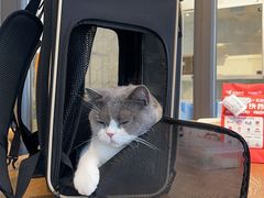 -萌兽医馆·眼科·异宠专科(三里屯店)