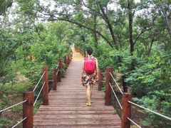 -渔岛海洋度假区