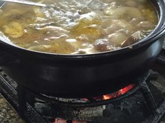 -蘑统田下·野生菌火锅