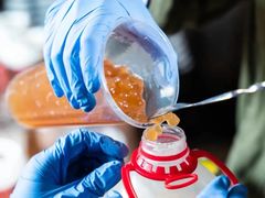 -茶理宜世(东方宝泰店)