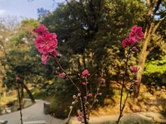 -广州市白云山风景名胜区