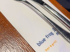 -bluefrog蓝蛙(新三里屯太古里店)