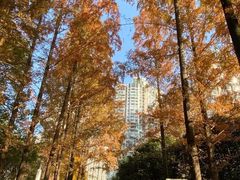 -苏州河梦清园环保主题公园