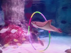 -沈阳海洋探索中心