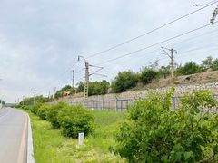 -丁香湖公园