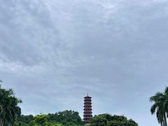 -红花山公园