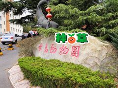 景点-青岛动物园