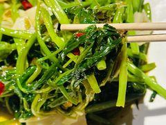 -雀舞云南菜(天津天河城购物中心店)