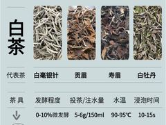-梅间堂茶馆(绿地缤纷城店)