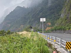-武陵山森林公园