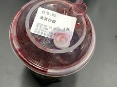 -野萃山·潮汕厚果汁(十亩地店)