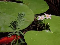 -杭州君悦酒店·湖滨28中餐厅