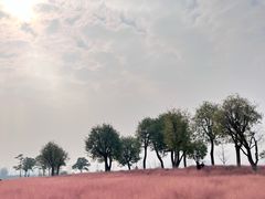 -汉长安城未央宫国家考古遗址公园