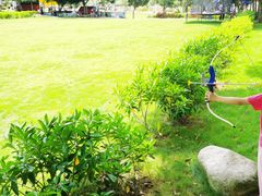 -广东花都香草世界旅游度假区