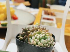 -四季餐厅·新津菜(环湖中路店)