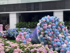 -HALO广场(梨园路店)