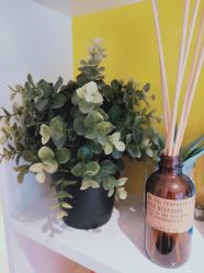-MZ SKIN CARE逆齢驻颜中心
