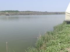 -西青郊野公园