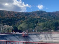 -北京十三陵国家森林公园蟒山景区