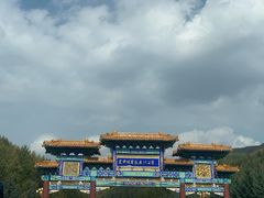 -塞罕坝国家级自然保护区