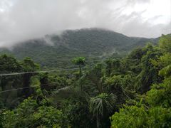 -呀诺达热带雨林