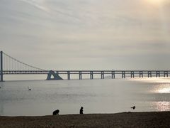 -星海湾跨海大桥