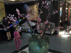 -翡冷翠创意中国菜(千峰南路店)