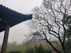 -解放阁