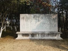 -宜兴龙背山森林公园