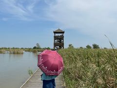 -盐城丹顶鹤湿地生态旅游区