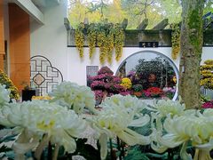 -杭州植物园