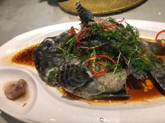 -南蚝小贝海鲜特色餐厅(南澳岛店)