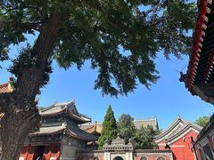 -北京艺术博物馆(万寿寺)