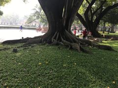 -广州中山纪念堂