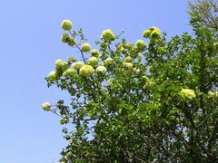 -苏州上方山国家森林公园