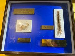 -上海昆虫博物馆