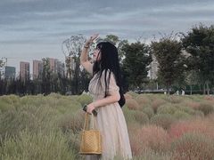 -映月湖中央公园