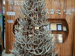 -北京鹿世界主题园