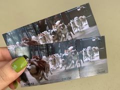 -TrueLove @ Neverland (Husky Cafe)
