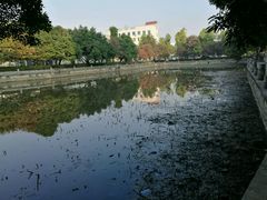 -广西大学(大学东路校区)