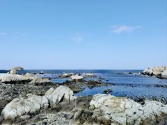 -养马岛旅游度假区