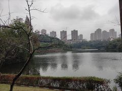 -重庆彩云湖湿地公园
